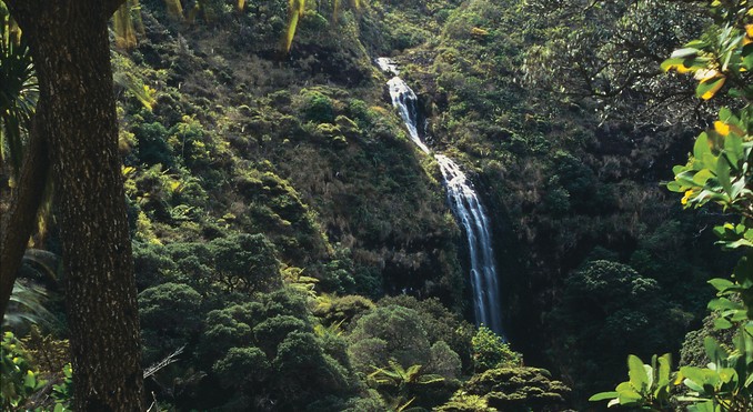 Image courtesy of Tourism New Zealand
