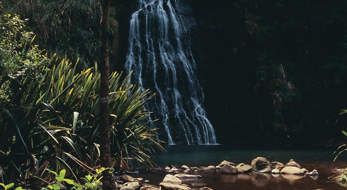 Image courtesy of Tourism New Zealand