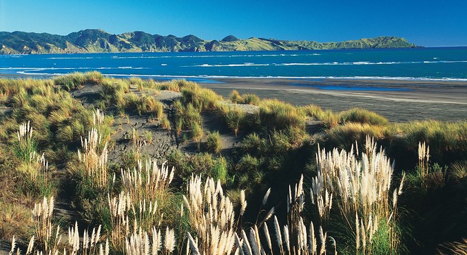 Image courtesy of Tourism New Zealand