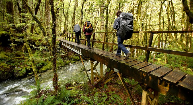 Image courtesy of Destination Fiordland