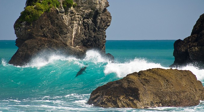 Image courtesy of Tourism West Coast