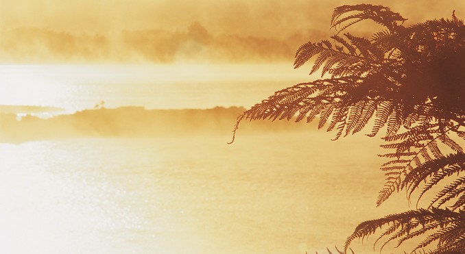 Image courtesy of Tourism New Zealand