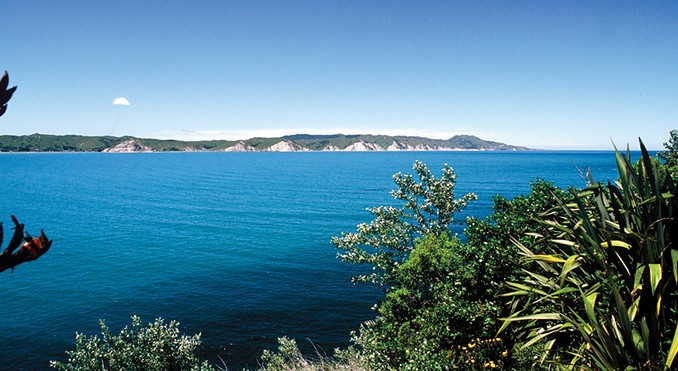 Image courtesy of Venture Hawke's Bay