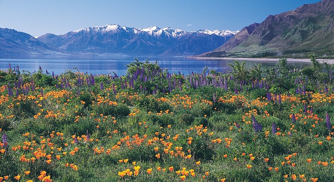 Image courtesy of Lake Wanaka Tourism