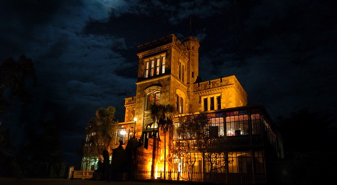 Image courtesy of Tourism Dunedin
