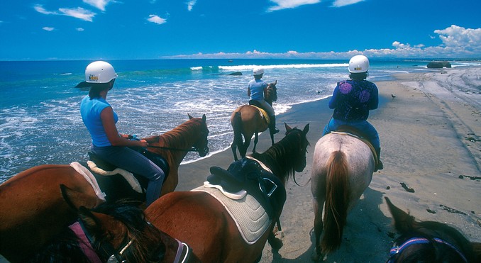 Image courtesy of Tourism Bay of Plenty