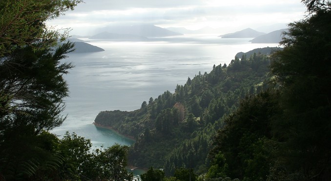 Image courtesy of Destination Marlborough