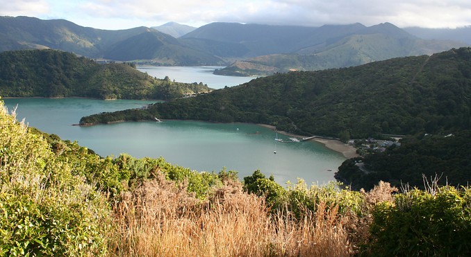 Image courtesy of Destination Marlborough