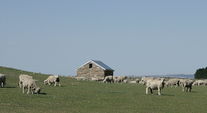 Image courtesy of Tourism Dunedin