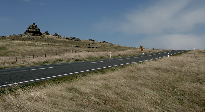 Image courtesy of Tourism Dunedin