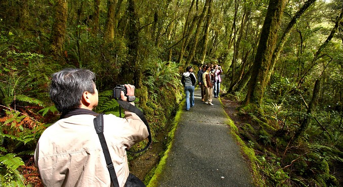Image courtesy of Destination Fiordland