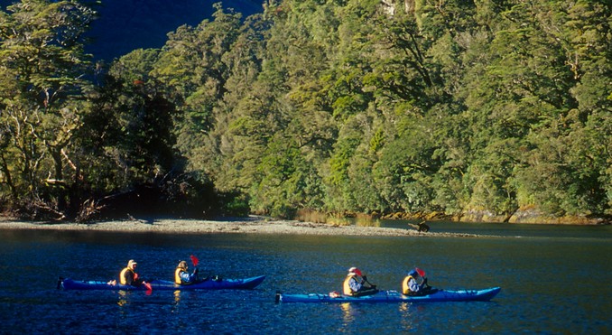 Image courtesy of Destination Fiordland