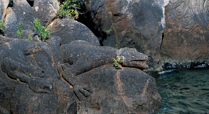 Image courtesy of Tourism New Zealand