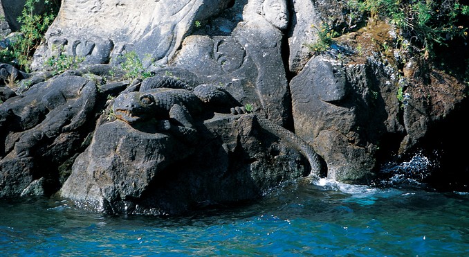 Image courtesy of Tourism New Zealand