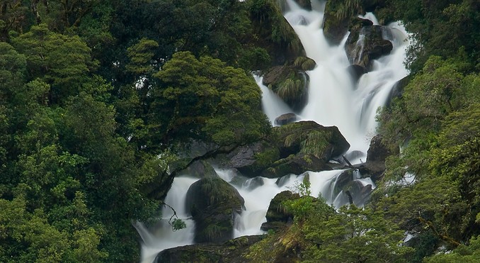 Image courtesy of Tourism West Coast