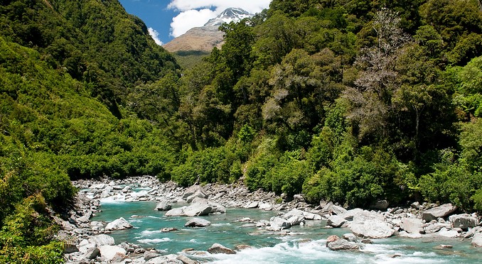 Image courtesy of Tourism West Coast