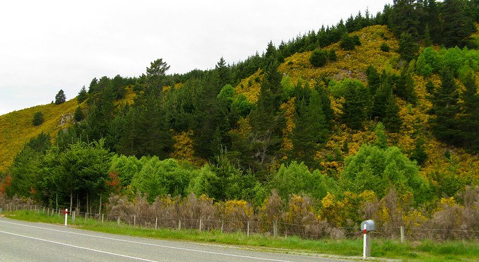 Image courtesy of Tourism Media