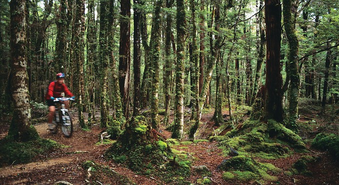 Image courtesy of Tourism New Zealand