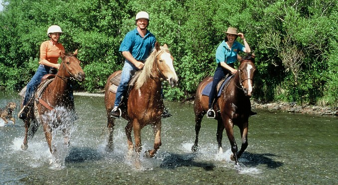Image courtesy of Nelson Tasman Tourism