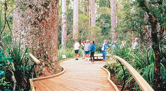 Image courtesy of Destination Northland
