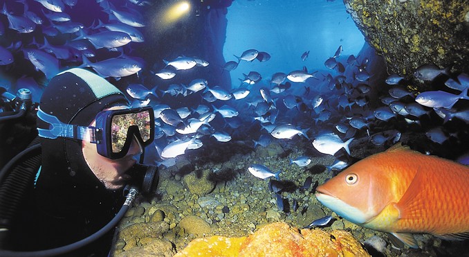 Image courtesy of Destination Northland