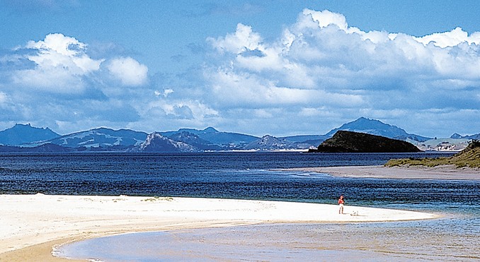 Image courtesy of Destination Northland