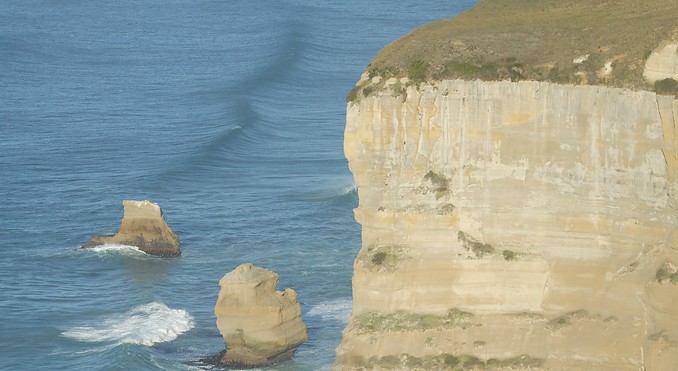 Image courtesy of Tourism Dunedin