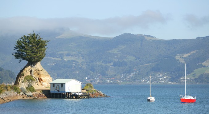 Image courtesy of Tourism Dunedin