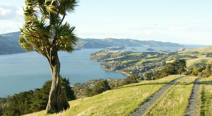 Image courtesy of Tourism Dunedin