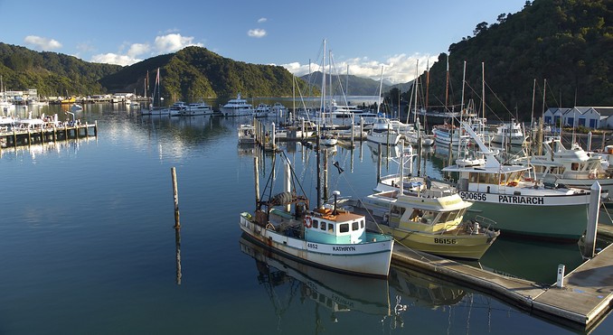 Image courtesy of Destination Marlborough