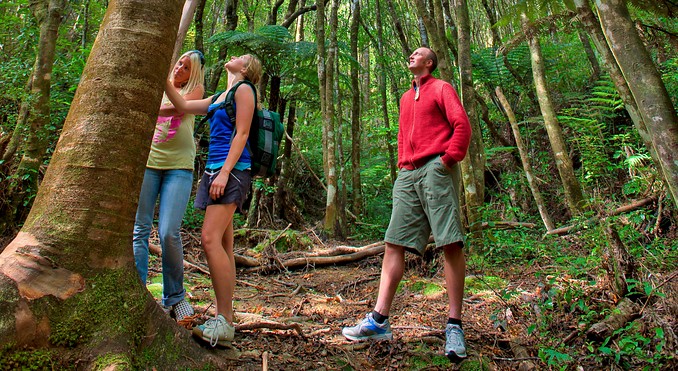 Image courtesy of Tourism Coromandel