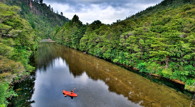 Image courtesy of Tourism Coromandel