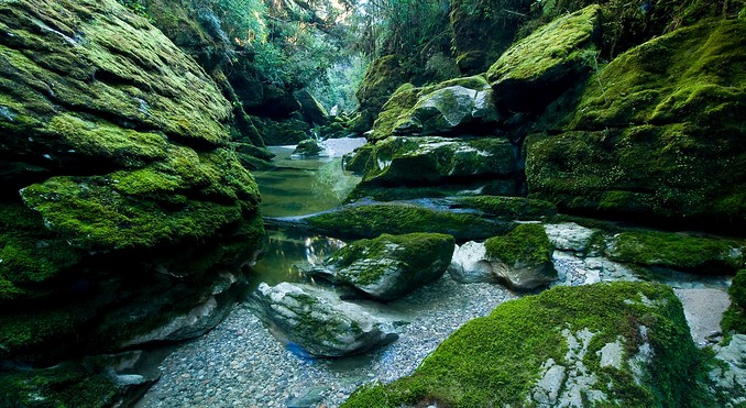 Image courtesy of Tourism West Coast
