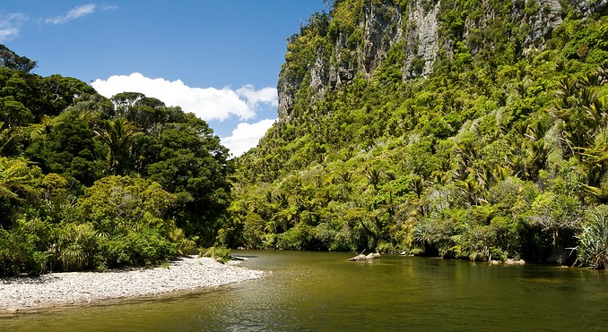 Image courtesy of Tourism West Coast