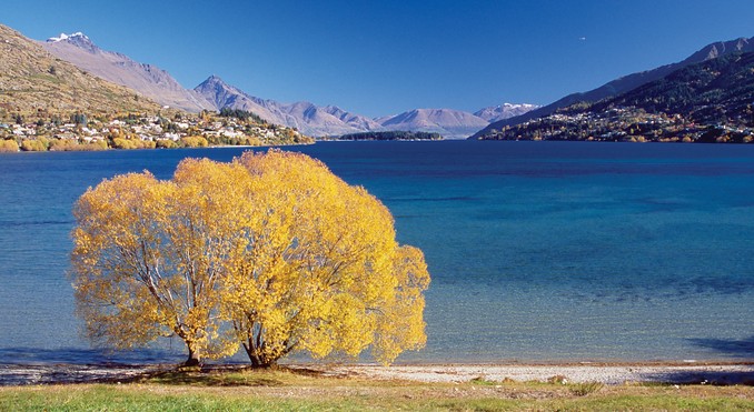 Image courtesy of Tourism New Zealand