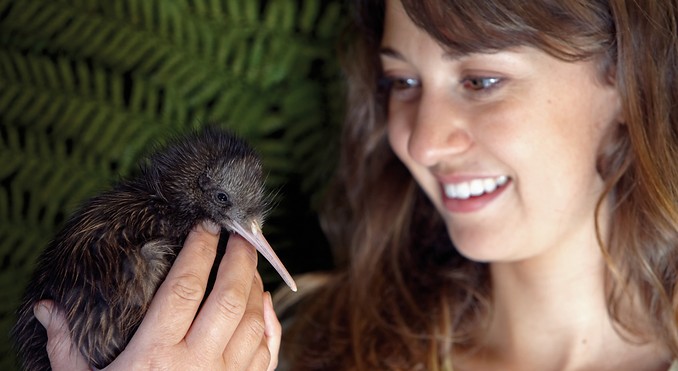Image courtesy of Tourism New Zealand