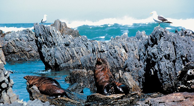 Image courtesy of Tourism New Zealand