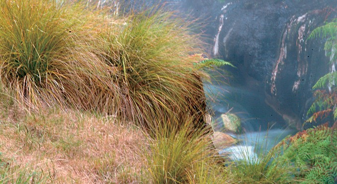 Image courtesy of Tourism New Zealand