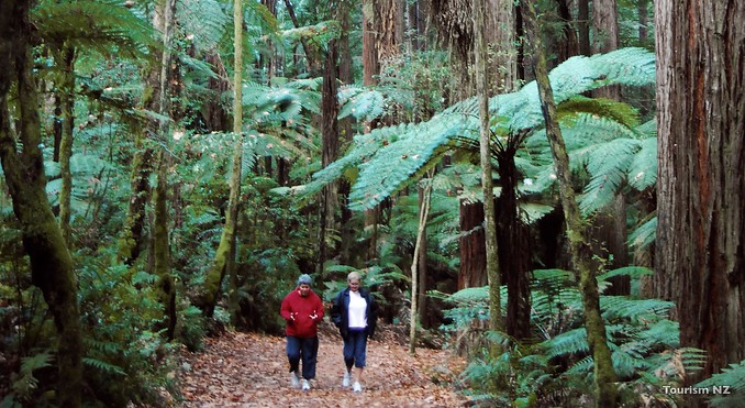 Image courtesy of Tourism New Zealand