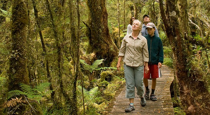Image courtesy of Tourism West Coast