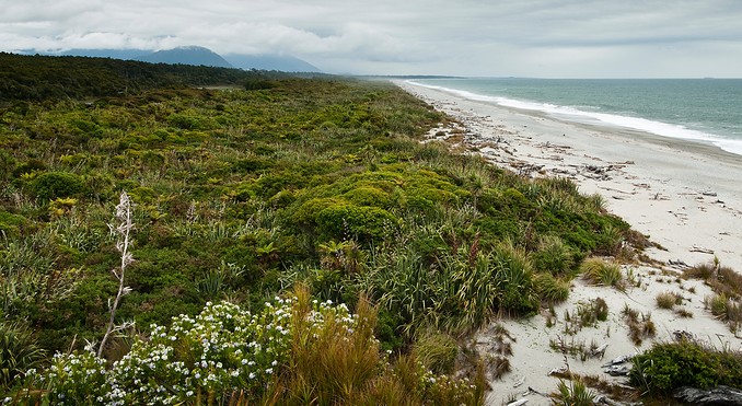 Image courtesy of Tourism West Coast