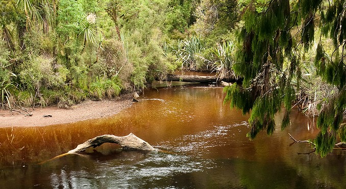 Image courtesy of Tourism West Coast