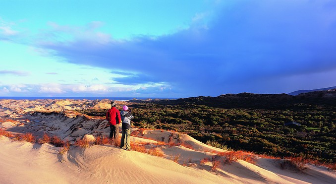 Stewart Island