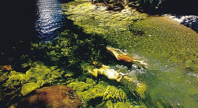 Image courtesy of Tourism Coromandel