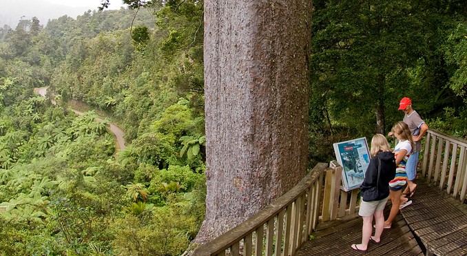 Image courtesy of Tourism Coromandel