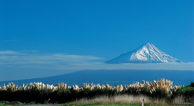 Image courtesy of Tourism New Zealand