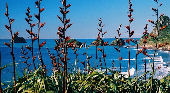 Image courtesy of Tourism New Zealand