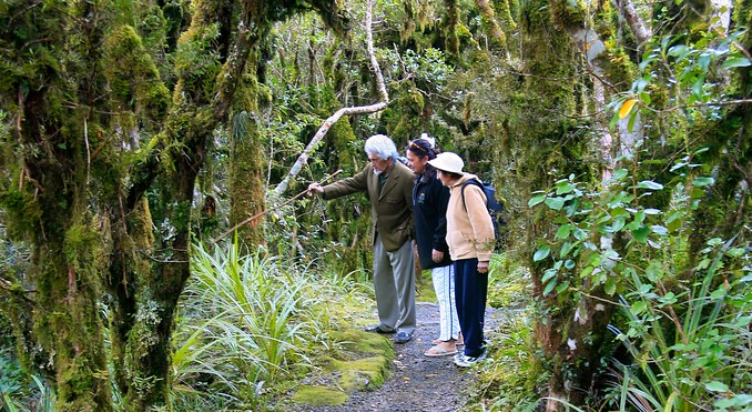 Image courtesy of Tourism New Zealand