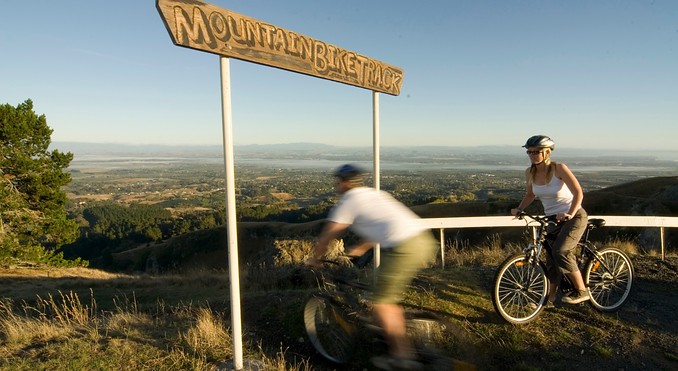 Image courtesy of Venture Hawke's Bay