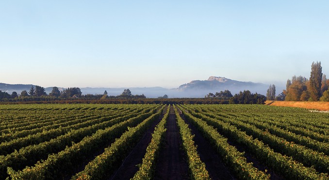 Image courtesy of Tourism New Zealand